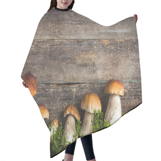 Personality  Food Background With Boletus Mushrooms And Moss Hair Cutting Cape
