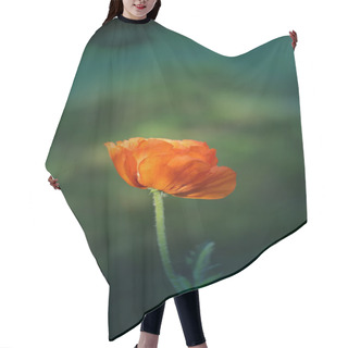 Personality  Beautiful Large Red Poppy   Hair Cutting Cape