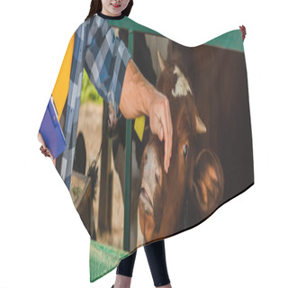 Personality  Horizontal Concept Of Farmer With Clipboard Touching Head Of Cow On Farm Hair Cutting Cape