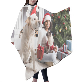 Personality  Happy African American Girl Holding Gift Box While Sitting With Dog And Cat Near Christmas Tree   Hair Cutting Cape