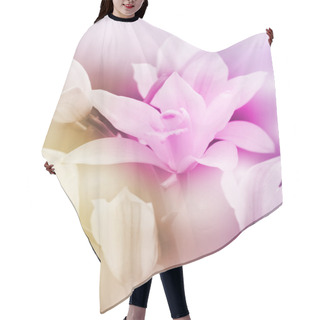 Personality  Closed-up Of Wild Orchid With Soft Focus Color Filtered As Background. Hair Cutting Cape