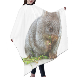 Personality  Wombat Eating Hair Cutting Cape