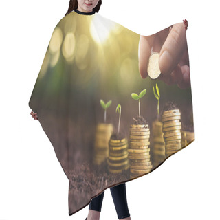Personality  Investment Concept. Plant Growing In Savings Coins Money Hair Cutting Cape