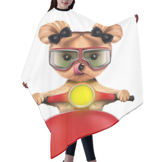 Personality  Adorable Girl Of Yorkie Sitting On A Motorbike Hair Cutting Cape