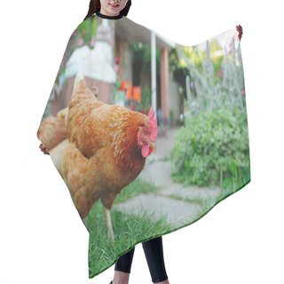Personality  Red Chickens Walking In The Yard Hair Cutting Cape