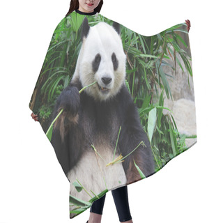 Personality  Giant Panda Bear Eating Bamboo Hair Cutting Cape