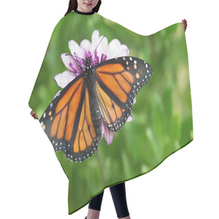 Personality  Monarch Butterfly Is Sitting On A Flower In The Garden Hair Cutting Cape