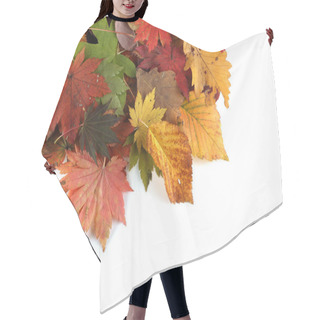 Personality  Close Up Of Fallen Autumn Leaves Hair Cutting Cape