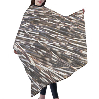 Personality  Porcupine Close Up Hair Cutting Cape
