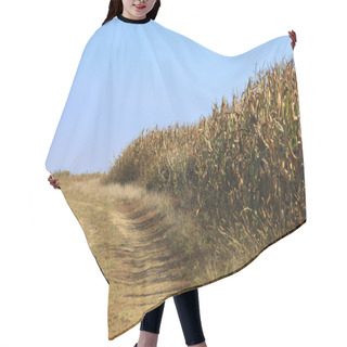 Personality  Country Dirt Road Hair Cutting Cape