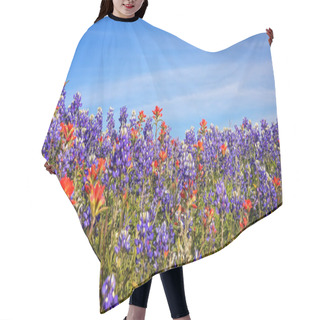 Personality  Field Of Texas Spring Wildflowers - Bluebonnets And Indian Paint Hair Cutting Cape