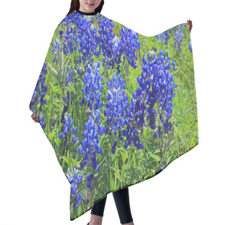 Personality  Texas Bluebonnets Hair Cutting Cape