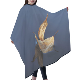 Personality  Leaf Ship In Blue Water Hair Cutting Cape