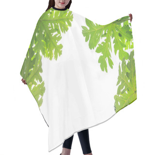 Personality  Papaya Leaves On White Background  Hair Cutting Cape