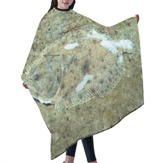 Personality  Camoflage Flounder Underwater Hair Cutting Cape