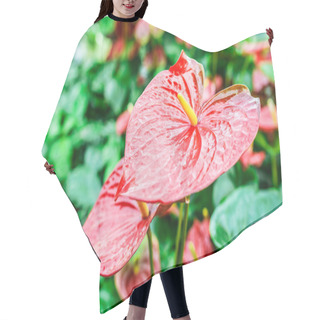 Personality  Anthurium Hair Cutting Cape