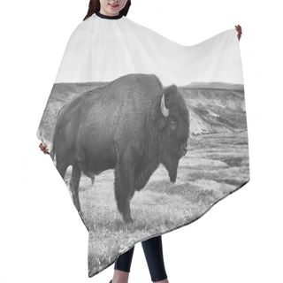Personality  American Bison In The Yellowstone National Park Hair Cutting Cape