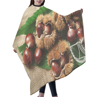 Personality  Autumn Chestnuts On Table Hair Cutting Cape