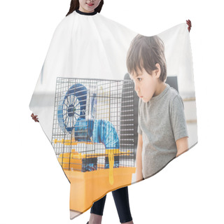 Personality  Adorable Boy Looking At Pet Cage With Blue Plastic Wheel And Tunnel Hair Cutting Cape