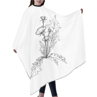 Personality  Vector Wildflowers Floral Botanical Flowers. Black And White Engraved Ink Art. Isolated Flower Illustration Element. Hair Cutting Cape