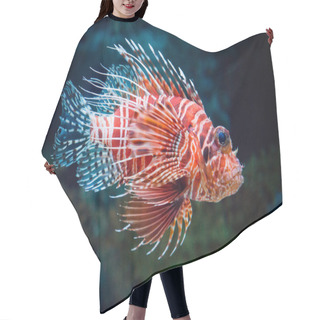 Personality  Lionfish Hair Cutting Cape