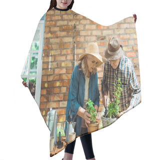 Personality  Senior Woman And Man In Straw Hats Standing Near Green Plants And Brick Wall  Hair Cutting Cape