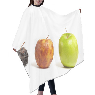 Personality  Three Apples: Fresh, Rotting And Dead Hair Cutting Cape