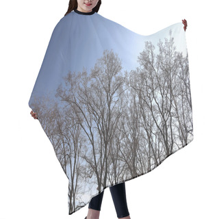 Personality  Autumn Bare Trees Hair Cutting Cape