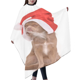 Personality  Dreaming Christmas Dog Wearing Santa Hat Hair Cutting Cape