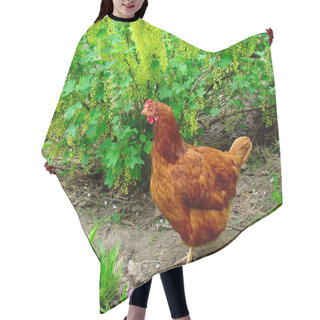 Personality  Ginger Chicken Hair Cutting Cape