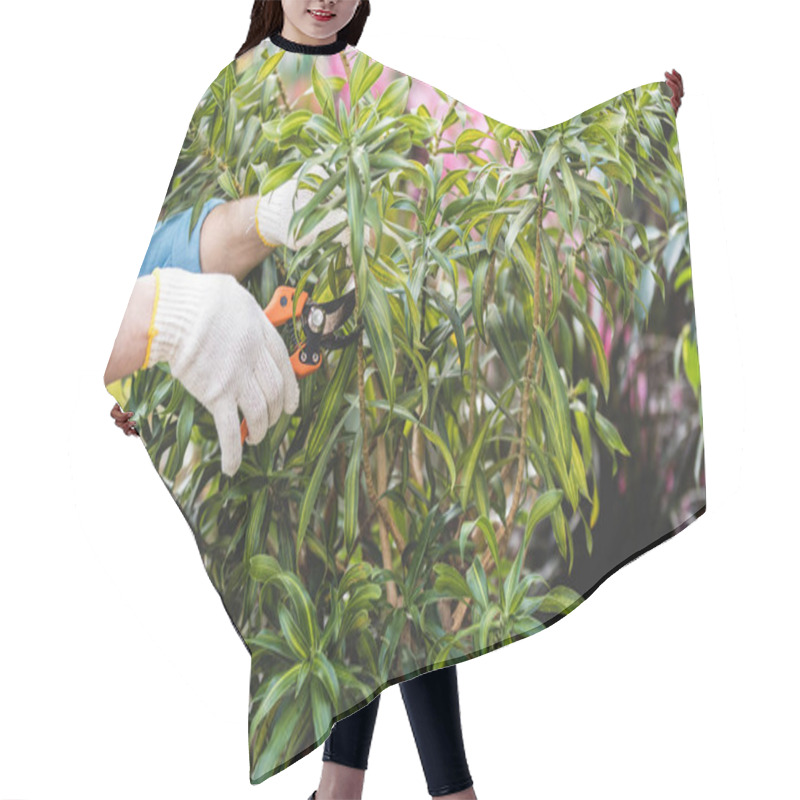 Personality  Close-up view of gardener cutting plants with pruner hair cutting cape