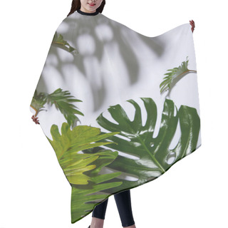 Personality  Fresh Tropical Green Leaves On White Background With Shadow Hair Cutting Cape