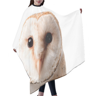 Personality  Cute Wild Barn Owl Muzzle Isolated On White Hair Cutting Cape