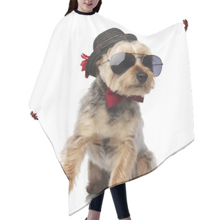 Personality  Orkshire Terrier Wearing Sunglasses And Decorated Hat Hair Cutting Cape