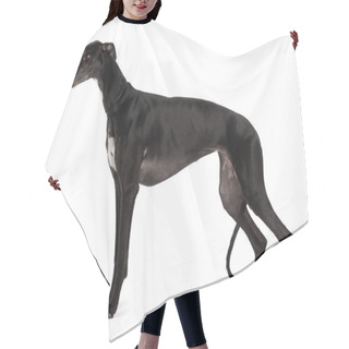 Personality  Greyhound Dog, 5 Years Old, Standing In Front Of White Background Hair Cutting Cape