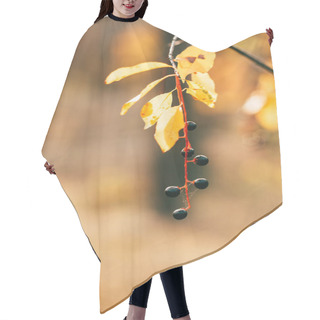 Personality  Orange Autumn Foliage With Berries On Blurred Background  Hair Cutting Cape