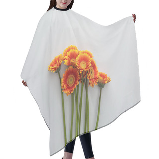 Personality  Top View Of Orange Gerbera Flowers On White Background With Copy Space Hair Cutting Cape