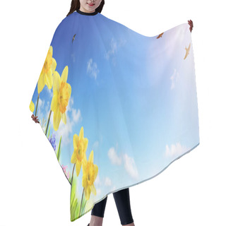Personality  Spring And Easter Banner - Daffodils In The Fresh Lawn With Fly Of Swallow Hair Cutting Cape