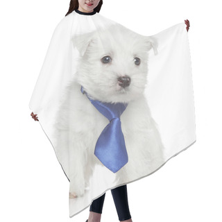 Personality  West Highland White Terrier Hair Cutting Cape