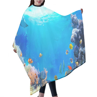 Personality  Panoramic View Of The Coral Reef. Animals Of The Underwater Sea World. Ecosystem. Colorful Tropical Fish.  Hair Cutting Cape