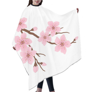 Personality  Blossoming Branch Of A Cherry. A Tree Branch With Pink Flowers And Buds On A White Background. Sakura Flowers. Vector Illustration Hair Cutting Cape