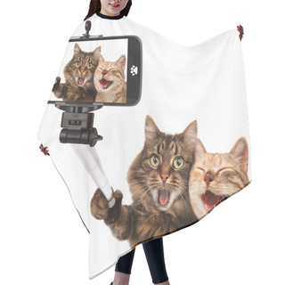 Personality  Funny Cats - Self Picture. Hair Cutting Cape