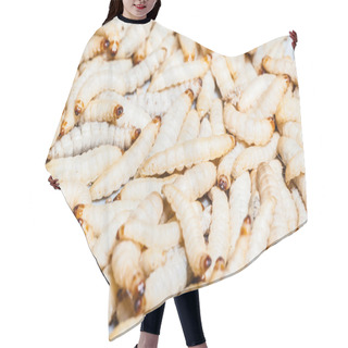 Personality  Mealworms Hair Cutting Cape