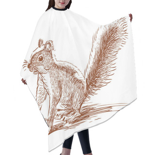 Personality  Funny Squirrel Hair Cutting Cape
