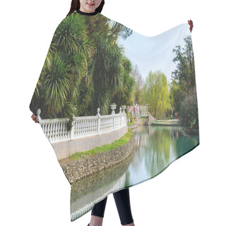 Personality  Russia City Of Sochi Adler District Park Southern Cultures. Pond With Reflection Of Trees. Hair Cutting Cape