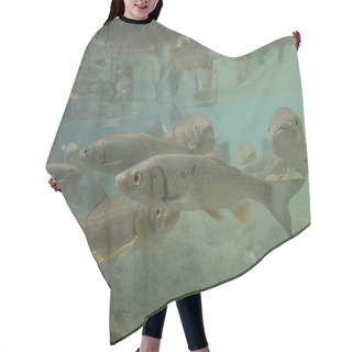 Personality  Under Water Hair Cutting Cape