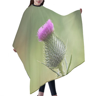 Personality  Close Up Of A Milk Thistle Plant With The Flower Blooming On Top Of Thorns Hair Cutting Cape