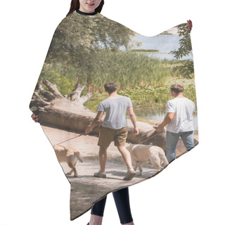 Personality  Back View Of Father And Teenager Son Holding Leashes While Walking With Golden Retrievers Near Lake  Hair Cutting Cape