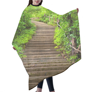 Personality  Stairway To Forest Hair Cutting Cape