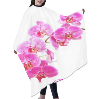 Personality  Orchid On A White Background Hair Cutting Cape